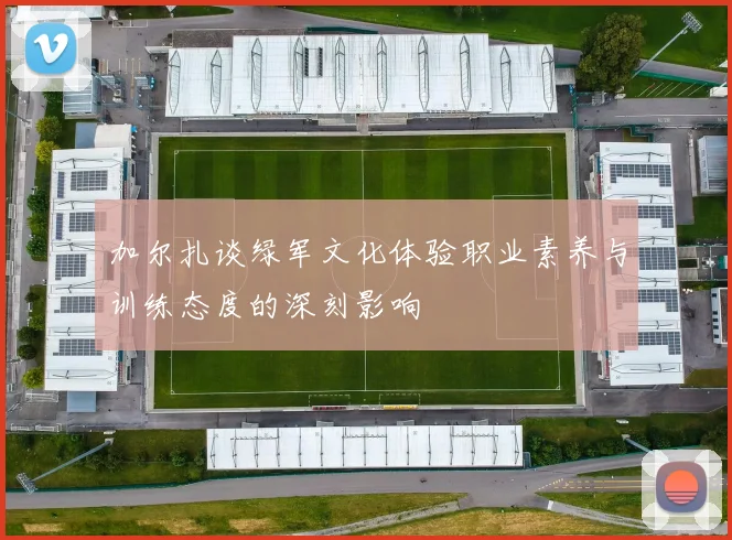 加尔扎谈绿军文化体验职业素养与训练态度的深刻影响